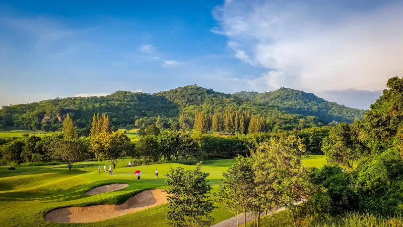 Pineapple Valley Golf Club - Fairway with pineapple plantation