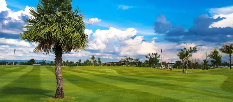 North Hill Golf Club - Greens impeccables et fairways championship